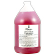 Hagerty Jewel Clean Concentrate, 1 Gallon