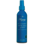 Hagerty's New Pump Spray Silver Polish