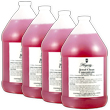 Case of 4 - Hagerty Jewel Clean Concentrate, 1 Gallon (4 gallons total)